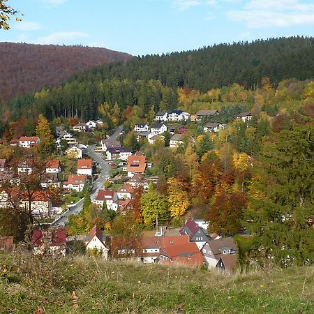 Pension Rheingold Garni Bad Grund Zewnętrze zdjęcie