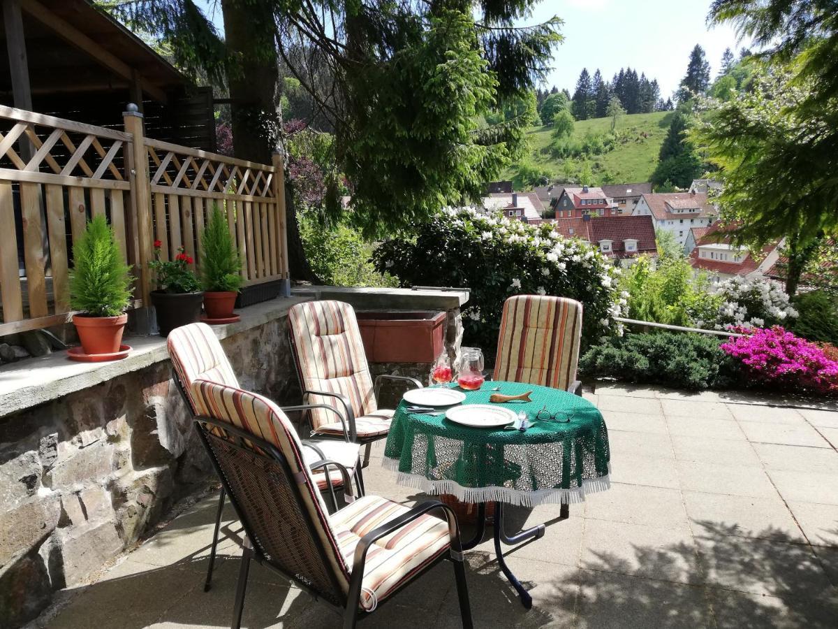 Pension Rheingold Garni Bad Grund Zewnętrze zdjęcie