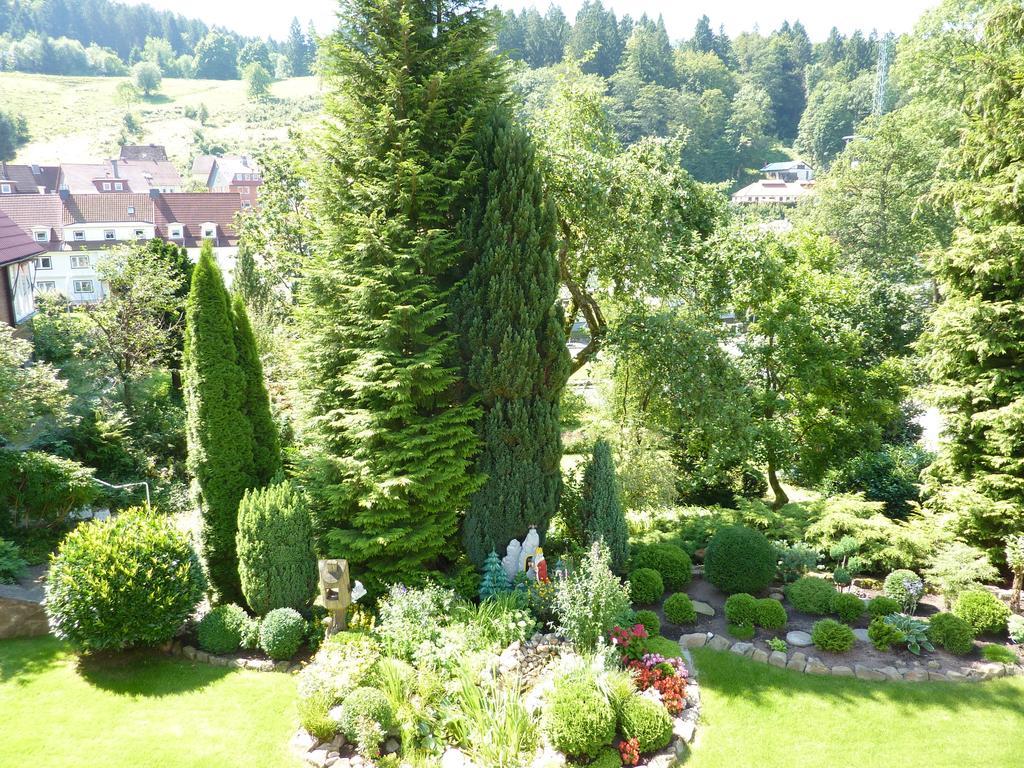 Pension Rheingold Garni Bad Grund Zewnętrze zdjęcie