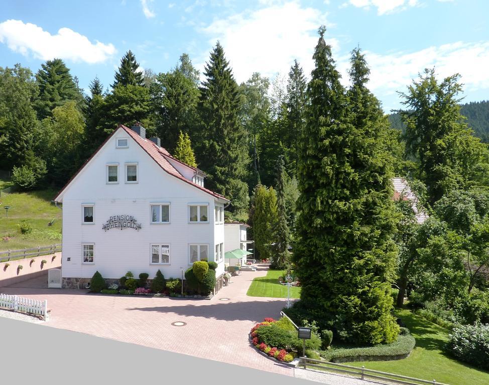 Pension Rheingold Garni Bad Grund Zewnętrze zdjęcie