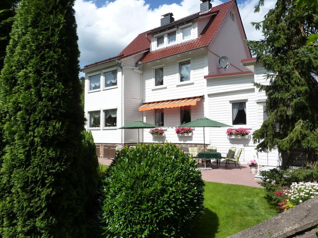 Pension Rheingold Garni Bad Grund Zewnętrze zdjęcie