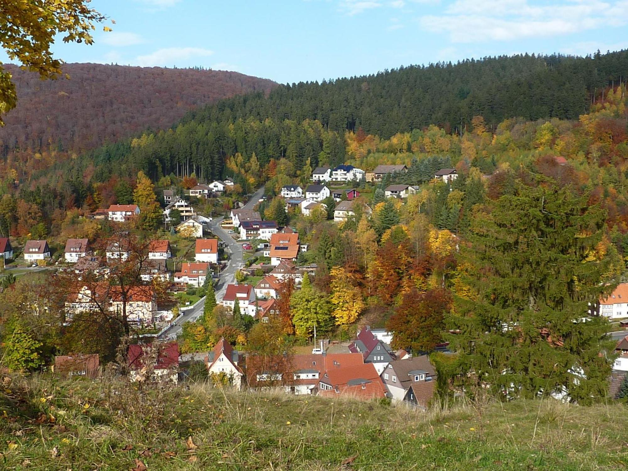 Pension Rheingold Garni Bad Grund Zewnętrze zdjęcie