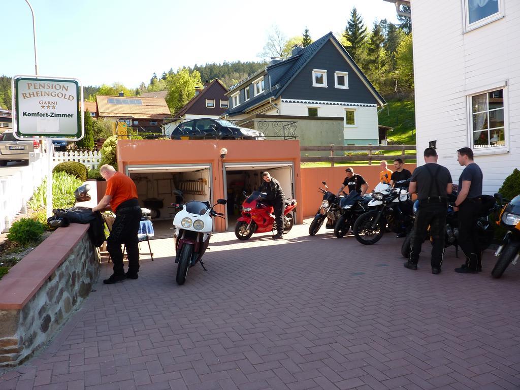 Pension Rheingold Garni Bad Grund Zewnętrze zdjęcie