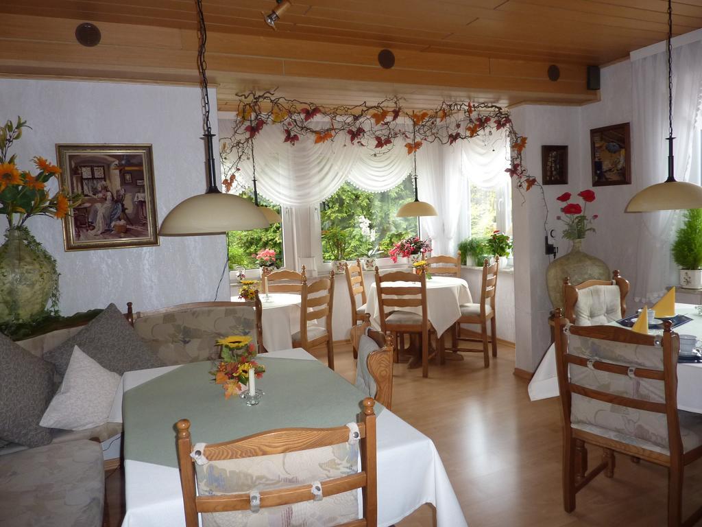 Pension Rheingold Garni Bad Grund Zewnętrze zdjęcie