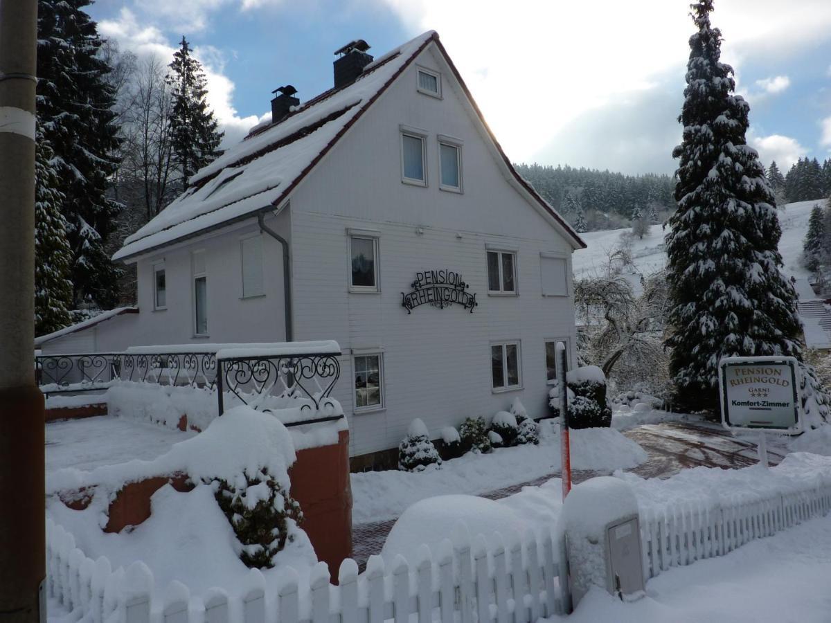 Pension Rheingold Garni Bad Grund Zewnętrze zdjęcie